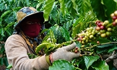 Vietnam's exports to Russia hampered by Western sanctions