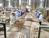 Vietnam's wood industry seeks to ensure self-sufficiency in domestic materials
