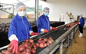 A new way to export agricultural products to China