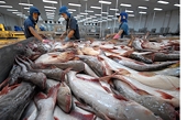 Vietnam enjoys trade surplus of over US$4 billion with Mexico
