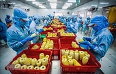 Vietnam works to foster farm produce exports to US
