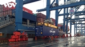 Hong Kong remains potential market for Vietnamese exports