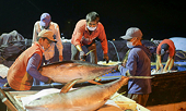 Seafood exports rise by 40 pct in Q1