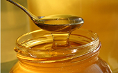 Viet Nam's ecology under threat from honey anti-dumping tax