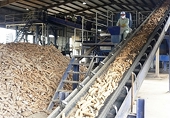 Vietnam ranks third globally for cassava exports