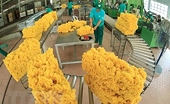 Vietnam-Australia trade surges 32 percent in Q1