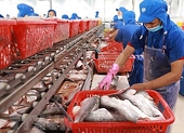 Vietnam’s seafood exports to EU expected to continue to increase