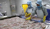 Việt Nam’s pangasius exports surge in Q1