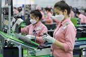The structure of goods exported to Switzerland is expanding