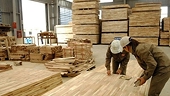 US extends deadline for issuing conclusion on anti-dumping probe into plywood imported from Vietnam