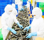 Export of agricultural, aquatic products make a sharp recovery