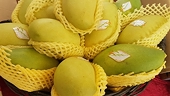 Opportunities growing to export farm produce to US