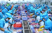 Agriculture sector witnesses large trade surplus in Q1