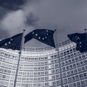 Turkish steel producers expect EU to remove safeguards following WTO report