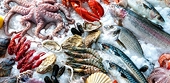 Vietnam’s seafood export markets in first four months of 2022