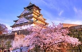 Exports to Japan reached 7.39 billion USD in first four months of 2022
