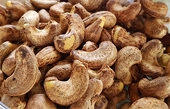 Việt Nam should prioritise value added cashew products for EU market