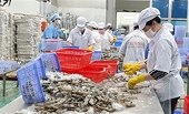 South Africa a potential market for Vietnam’s fishery products: official