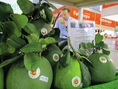 Việt Nam shows potential in US fruit exports