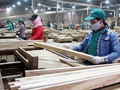 US enquires into wooden cabinets from Vietnam