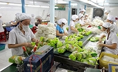 Vietnam's efforts in food safety control pay off: Ministry