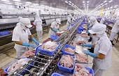 Enterprises expand catfish exports