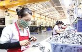 Vietnam’s exports to Hungary on the rise