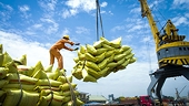 Import demand should be reviewed to boost rice export to ASEAN market: experts