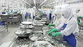 Aquatic exports spike 40% in H1