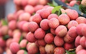 Agri-firms must abide by technical barriers to increase export market share