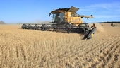 Australian trade minister offers ‘compromise’ with China over anti-dumping tariffs