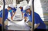 Vietnam’s rice exports to the UK drop by 20 percent