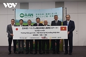 Branded Vietnamese rice makes inroads into global market
