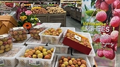 Vietnam, Australia post record high in two-way trade