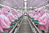 Seafood enterprises make breakthrough from export aspect