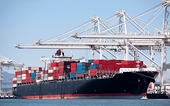 India advised to extend ESBR anti-dumping duties