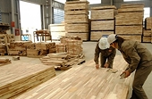 U.S. not yet issued final decision for trade remedies on hardwood plywood