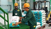 Ministry proposes for export tax increase to create supply
