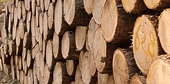 Canada Formally Initiates Challenge of ‘Unfair’ U.S. Duties on Softwood Lumber
