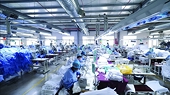 Southern export enterprises seek to be self-sufficient in raw materials