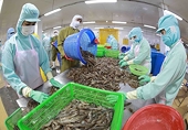Agro, forestry, aquatic exports surge 13 percent in eight months