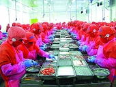 Many opportunities for exporting to South Korea
