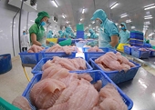 Firms urged to enhance knowledge, capacity to cope with trade investigations from the UK