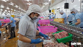 Vietnam sees surge in fish, rice orders from Europe