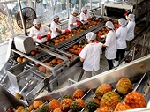 Meeting SPS key to sustainable agricultural exports to EU