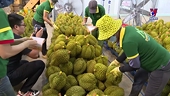 More should be done to boost durian export: Insiders
