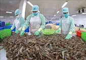 Export value of aquatic products up 38% in nine months