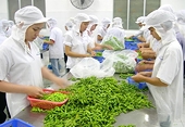 Fruit - vegetable exports likely to bring in US$3.2 billion this year