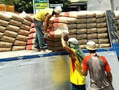 The Philippines: TC imposes 5-year anti-dumping duty on Vietnam cement