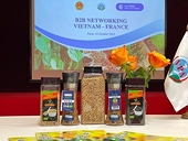 Vietnamese pepper seeks ways to conquer the French market